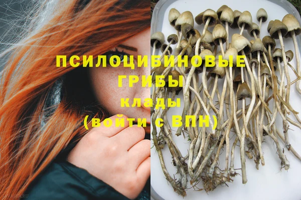 первитин Белокуриха